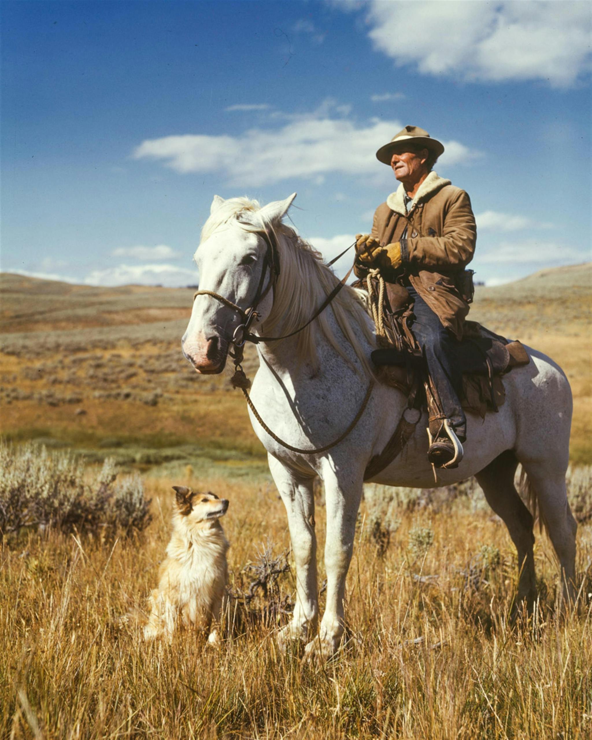 A cowboy rides a white horse with a loyal dog companion in a vast grassland.